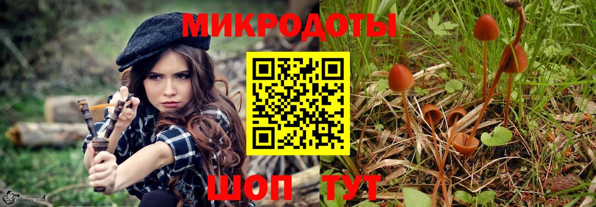 Галлюциногенные грибы мицелий Котовск
