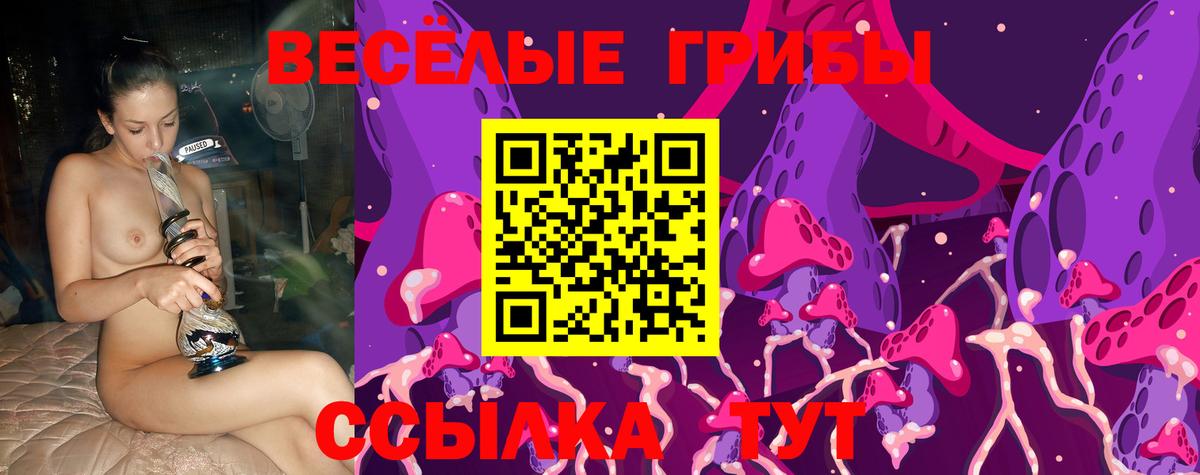 Купить наркотики  Кокаин  Экстази  Котовск  ГАШИШ  Вход с VPN  Гашиш  Конопля  Меф   MDMA  МЕТ 