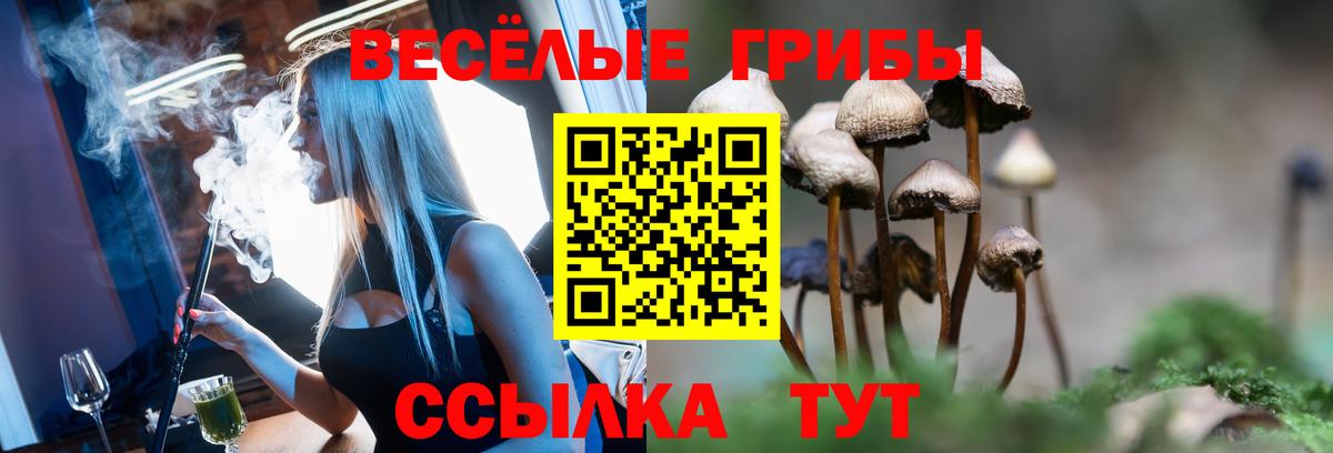 Котовск  Псилоцибиновые грибы мухоморы  Вход с VPN 